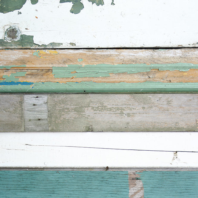 【限定数】 【切売m単位】 studio ditte / Scrapwood/green