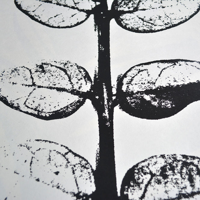 Tracy Kendall / Skeleton Leaf