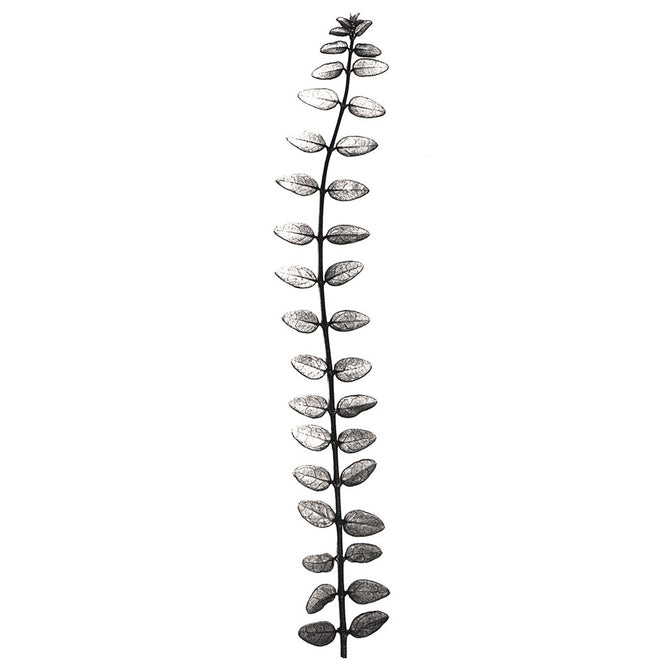 Tracy Kendall / Skeleton Leaf