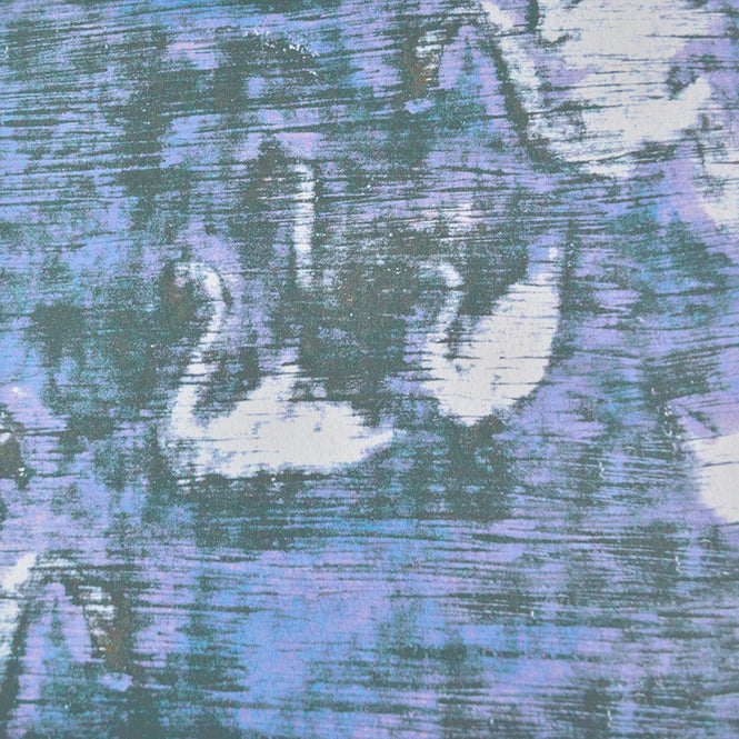 FEATHR / Swan Lake Grey 11001340301