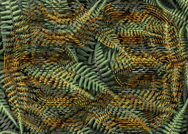 Zoom