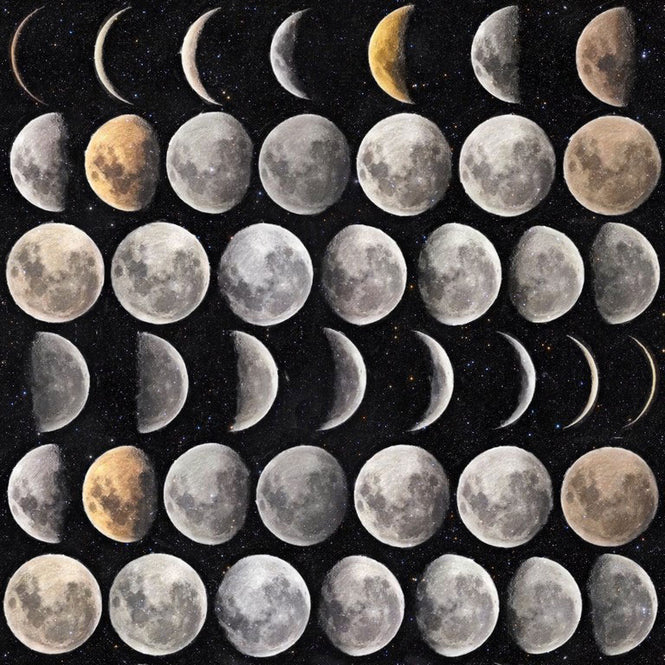 MINDTHEGAP /  MOON PHASES WP20066