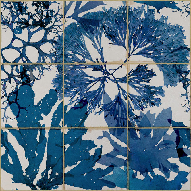 MINDTHEGAP /  ALGAE IN BLUE WP20179