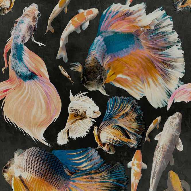 MINDTHEGAP / GOLDFISH Anthracite WP20301