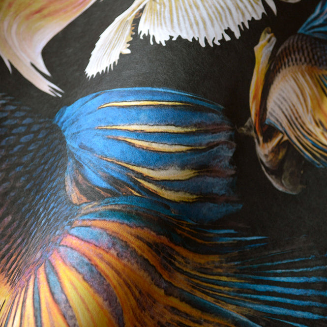 MINDTHEGAP / GOLDFISH Anthracite WP20301