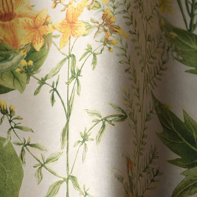 MINDTHEGAP / MIMULUS WP20323