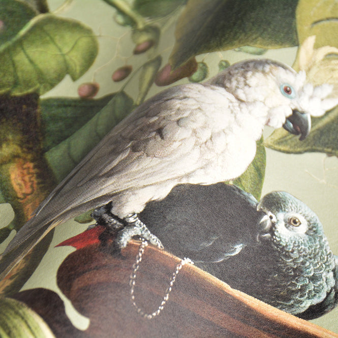 MINDTHEGAP / The Wallpaper Compendium / EXOTIC MENAGERIE Light WP20516