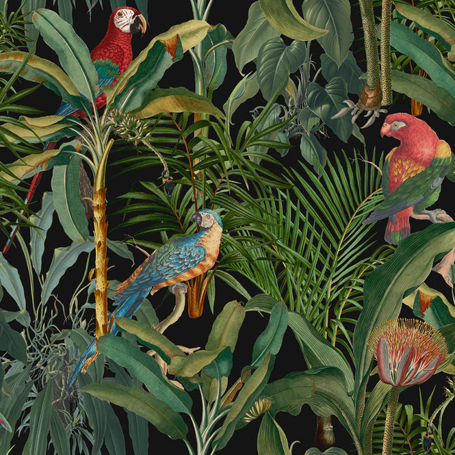 MINDTHEGAP / The Wallpaper Compendium / PARROTS OF BRASIL Antracite WP20522