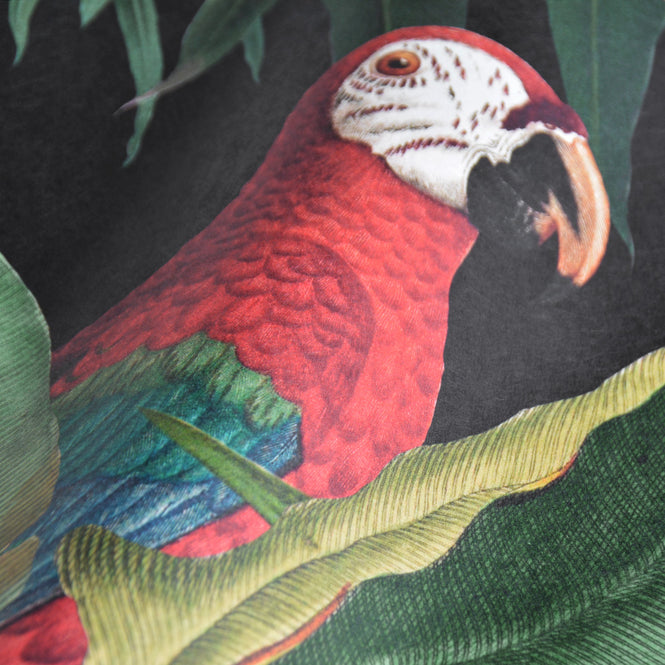 MINDTHEGAP / The Wallpaper Compendium / PARROTS OF BRASIL Antracite WP20522