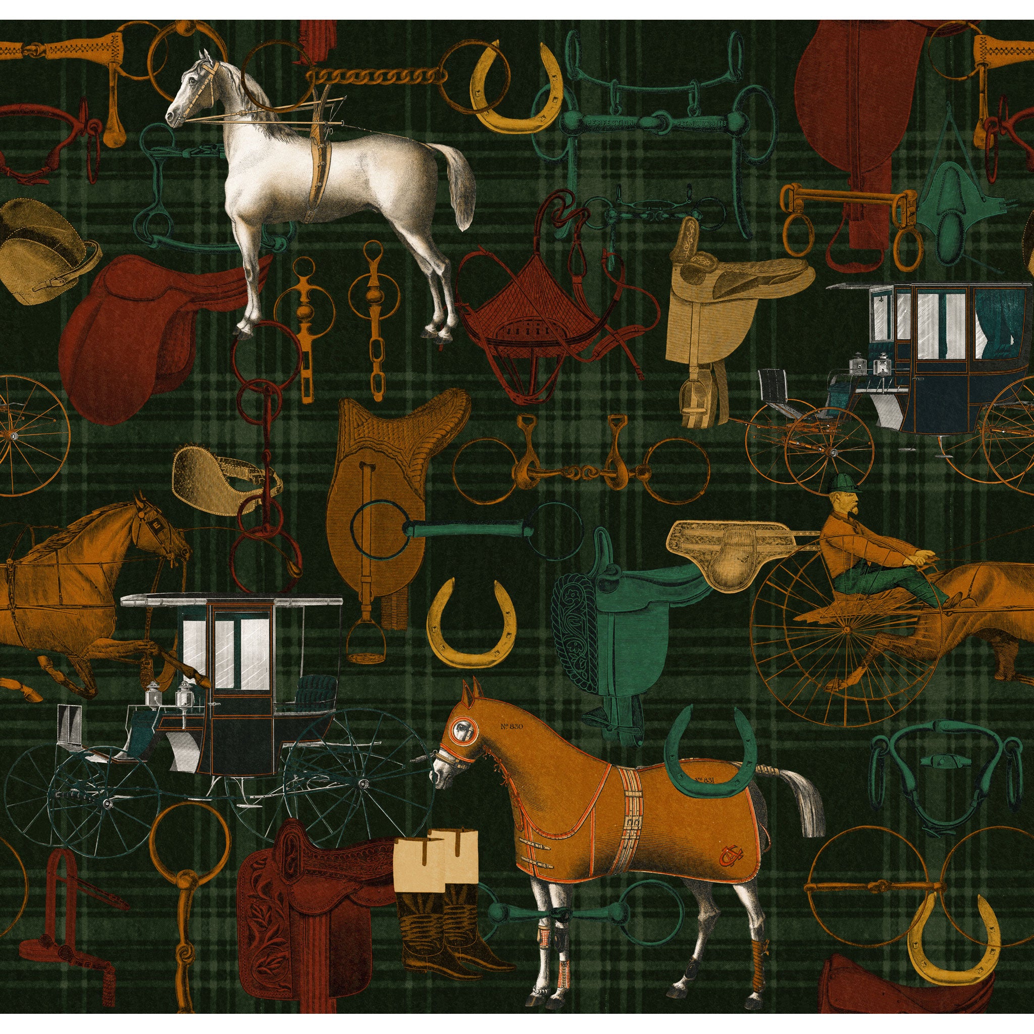 Zoom