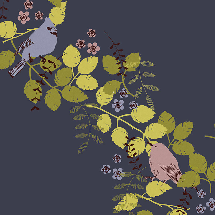 Zoom
